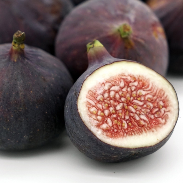 FSS Fig Seeds